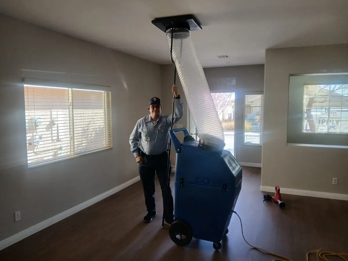 Professional Dryer Vent Cleaning work inside a Starkville home